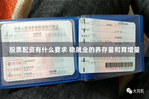 股票配资有什么要求 稳就业的养存量和育增量