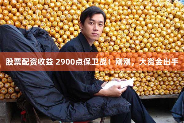 股票配资收益 2900点保卫战！刚刚，大资金出手