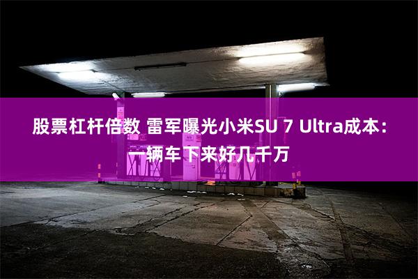 股票杠杆倍数 雷军曝光小米SU 7 Ultra成本：一辆车下来好几千万