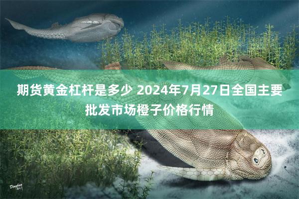 期货黄金杠杆是多少 2024年7月27日全国主要批发市场橙子价格行情