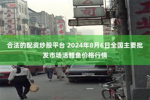 合法的配资炒股平台 2024年8月6日全国主要批发市场活鲤鱼价格行情