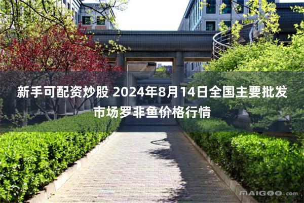 新手可配资炒股 2024年8月14日全国主要批发市场罗非鱼价格行情