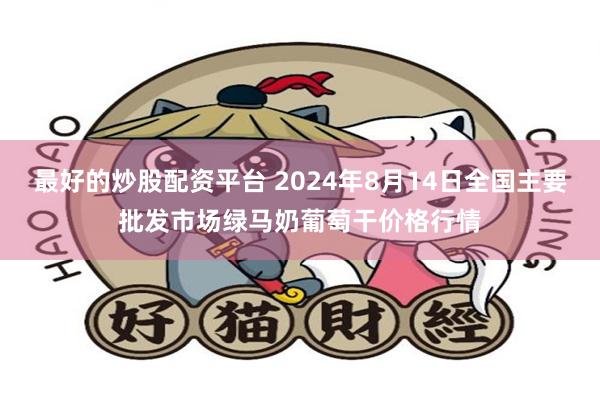 最好的炒股配资平台 2024年8月14日全国主要批发市场绿马奶葡萄干价格行情