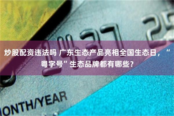 炒股配资违法吗 广东生态产品亮相全国生态日，“粤字号”生态品牌都有哪些？