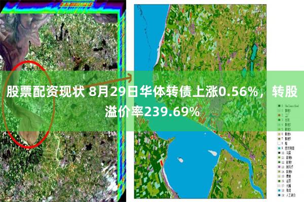 股票配资现状 8月29日华体转债上涨0.56%，转股溢价率239.69%