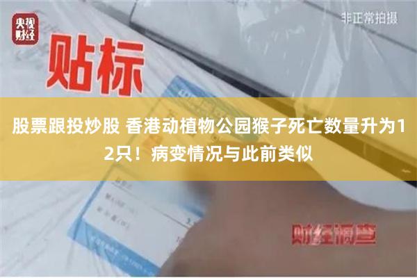 股票跟投炒股 香港动植物公园猴子死亡数量升为12只！病变情况与此前类似