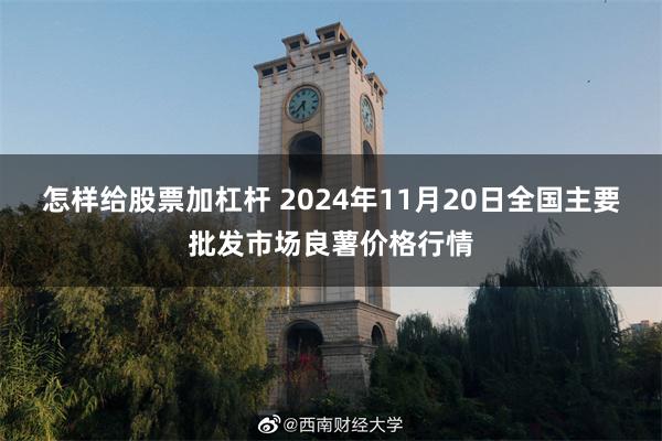 怎样给股票加杠杆 2024年11月20日全国主要批发市场良薯价格行情