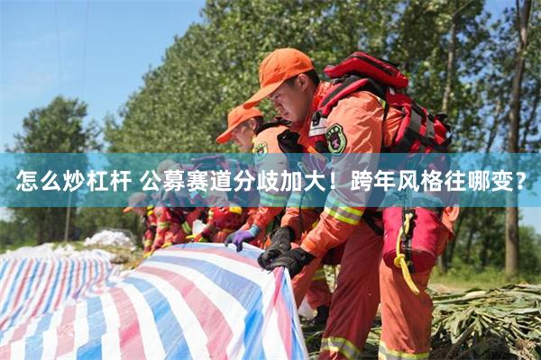 怎么炒杠杆 公募赛道分歧加大！跨年风格往哪变？