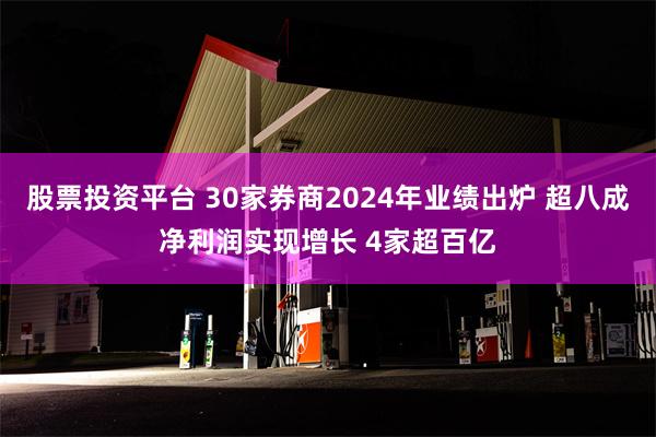 股票投资平台 30家券商2024年业绩出炉 超八成净利润实现增长 4家超百亿