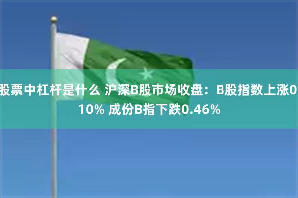 股票中杠杆是什么 沪深B股市场收盘：B股指数上涨0.10% 成份B指下跌0.46%