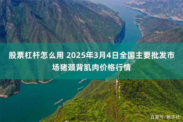 股票杠杆怎么用 2025年3月4日全国主要批发市场猪颈背肌肉价格行情